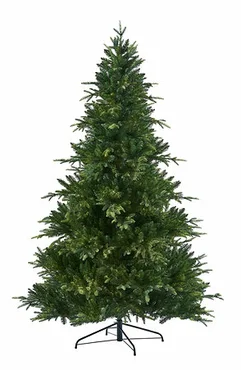 Royal Fir 274cm/9ft
