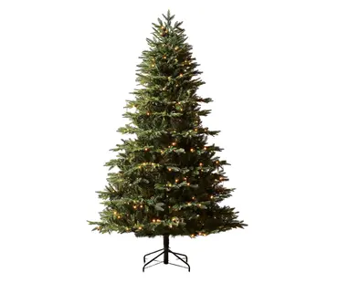 Royal Fir Prelit 274cm/9ft