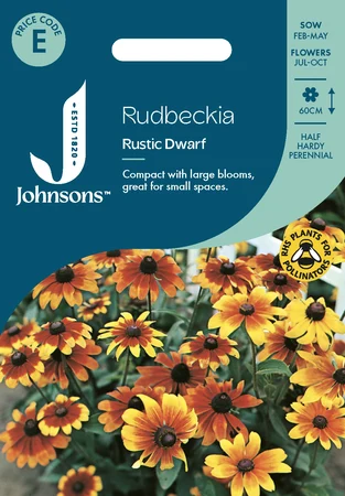 Rudbeckia Rustic Dwarf - image 1