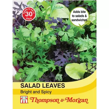 Salad Leaves - Bright and Spicy