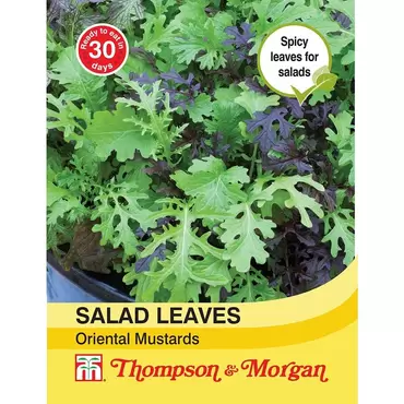 Salad Leaves - Oriental Mustards