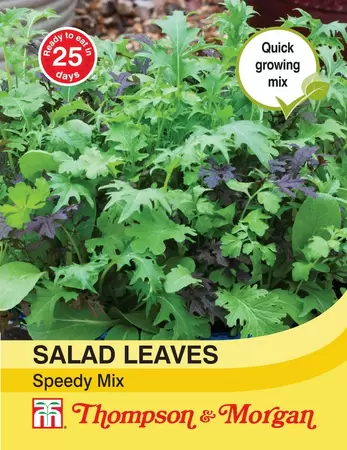 Salad Leaves - Speedy Mix