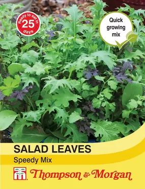Salad Leaves - Speedy Mix