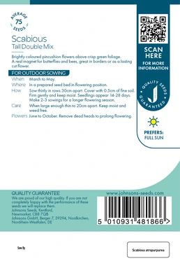 Scabious Tall Double Mix - image 2