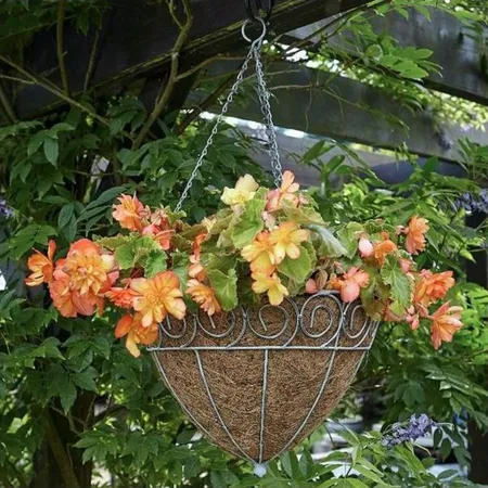 Scrolled Cone Hanging Basket