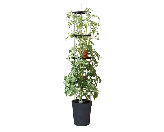 Self Watering Grow Pot Tower (Antracite) - image 2