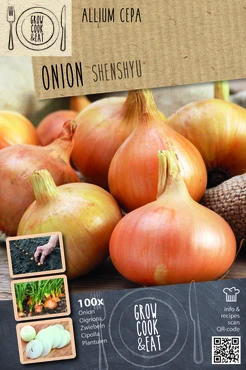 Senshyu Onion Set (Overwinter Yellow)