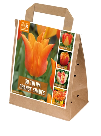 Shades Of Colour Orange Tulip Shade Mix