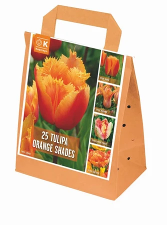 Shades Of Colour Orange Tulip Shade Mix