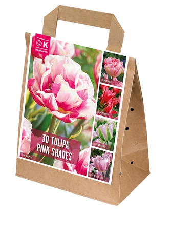 Bag Tulip Pink Shades X 30