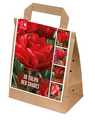 Shades Of Colour Red Tulip Shade Mix
