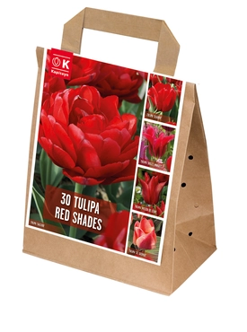 Shades Of Colour Red Tulip Shade Mix