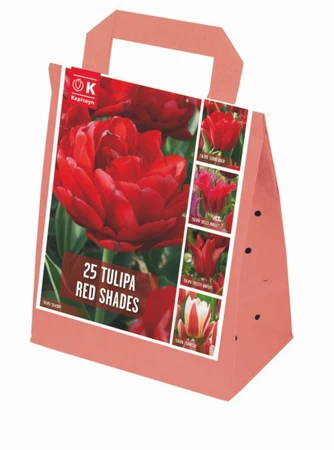 Shades Of Colour Red Tulip Shade Mix