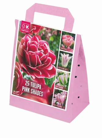 Shades of Colour Tulip Pink Shades Mix
