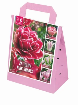 Shades of Colour Tulip Pink Shades Mix