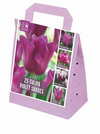 Shades Of Colour Violet Tulip Shade Mix