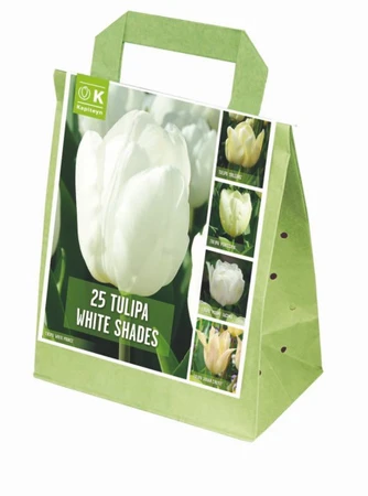 Shades Of Colour White Tulip Shade Mix