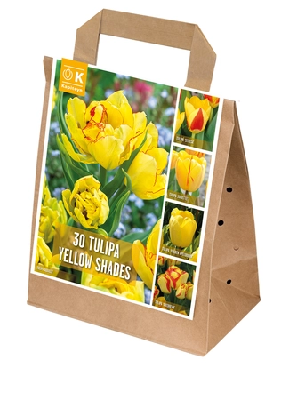 Shades Of Colour Yellow Tulip Shade Mix