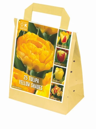 Shades Of Colour Yellow Tulip Shade Mix