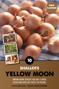 Shallot  Yellow Moon®