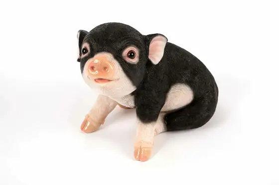 Sitting Black Piglet