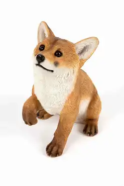 Sitting Fox Cub
