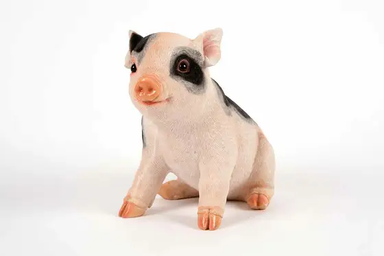 Sitting Piglet