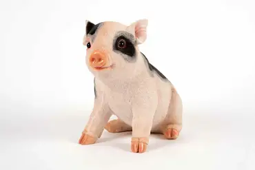 Sitting Piglet