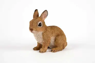 Sitting Rabbit