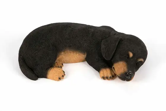 Sleeping Pup