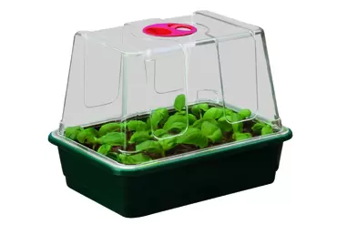 SMALL HIGH DOME PROPAGATOR WITH HOLES