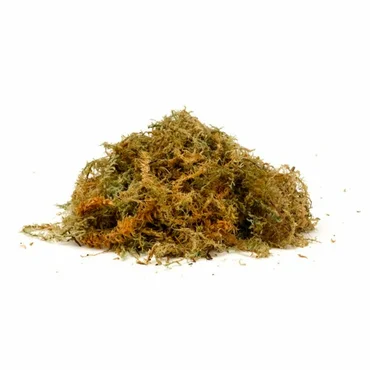 Sphagnum Moss Large - image 2