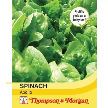 Spinach Apollo