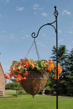 Spiral Shepherds Crook - Single - image 2