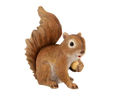 Squirrel Holding Acorn