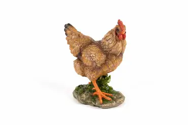 Standing Hen