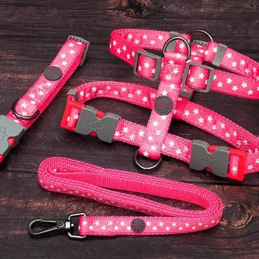 Starry Pink Walkabout Dog Lead - Small 