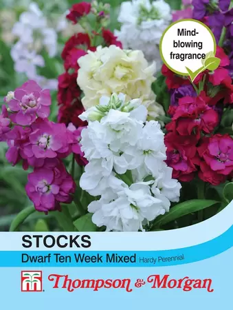 Stocks Dwarf Ten Week Mixed
