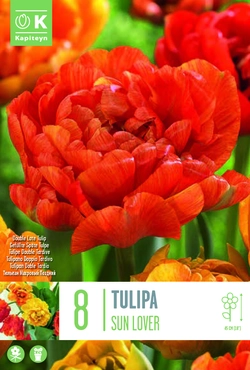 Sun Lover Double Tulip Bulbs
