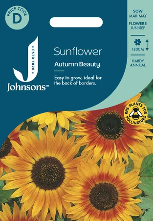 Sunflower Autumn Beauty - image 1