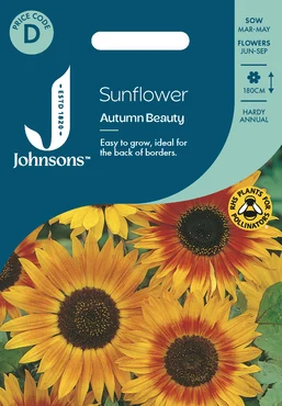 Sunflower Autumn Beauty - image 1