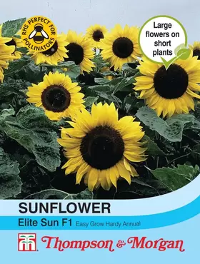 Sunflower Elite Sun F1 Hybrid