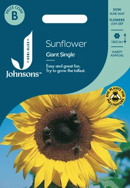 Sunflower Giant Single