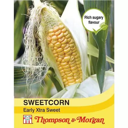 Sweet Corn Early Xtra Sweet F1 Hybrid
