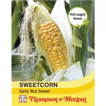 Sweet Corn Early Xtra Sweet F1 Hybrid