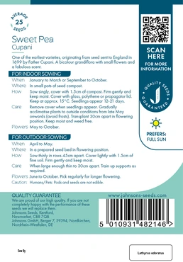 Sweet Pea Cupani - image 2