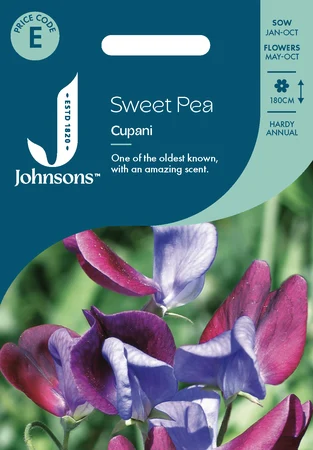 Sweet Pea Cupani - image 1