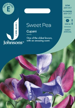 Sweet Pea Cupani - image 1