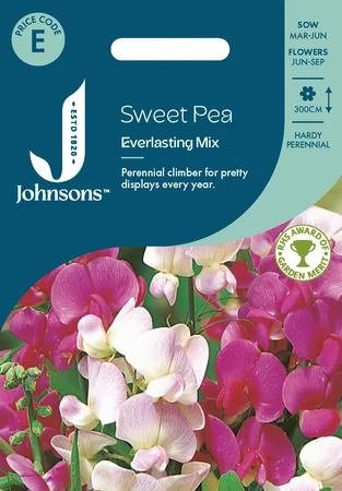 Sweet Pea Everlasting Mix - image 1