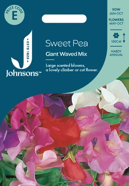Sweet Pea Giant Waved Mix - image 1